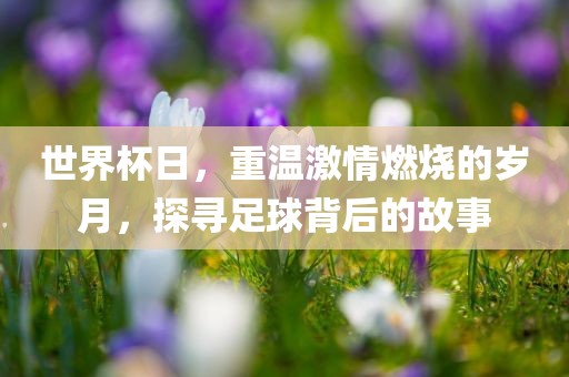 世界杯日，重温激情燃烧的岁月，探寻足球背后的故事吉安市靖泰电力工程有限公司