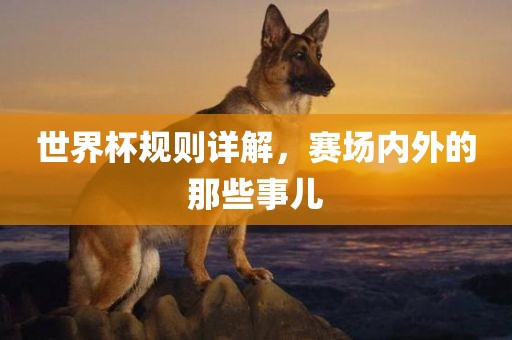 世界杯规吉安市靖泰电力工程有限公司则详解，赛场内外的那些事儿