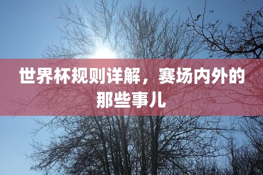 世界杯规则详解，赛吉安市靖泰电力工程有限公司场内外的那些事儿
