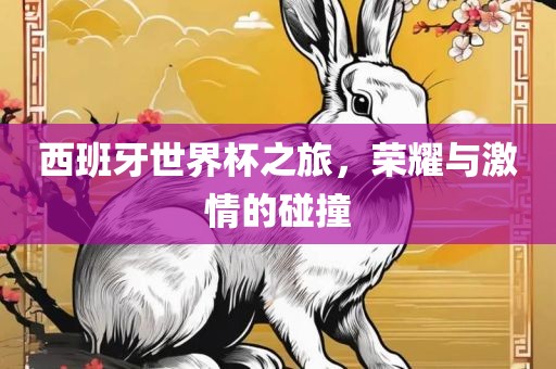 西班牙世界杯之旅，荣耀与激情的碰撞