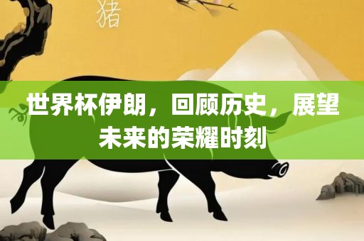 世界杯伊朗，回顾历史，展望未来的荣耀时刻吉安市靖泰电力工程有限公司